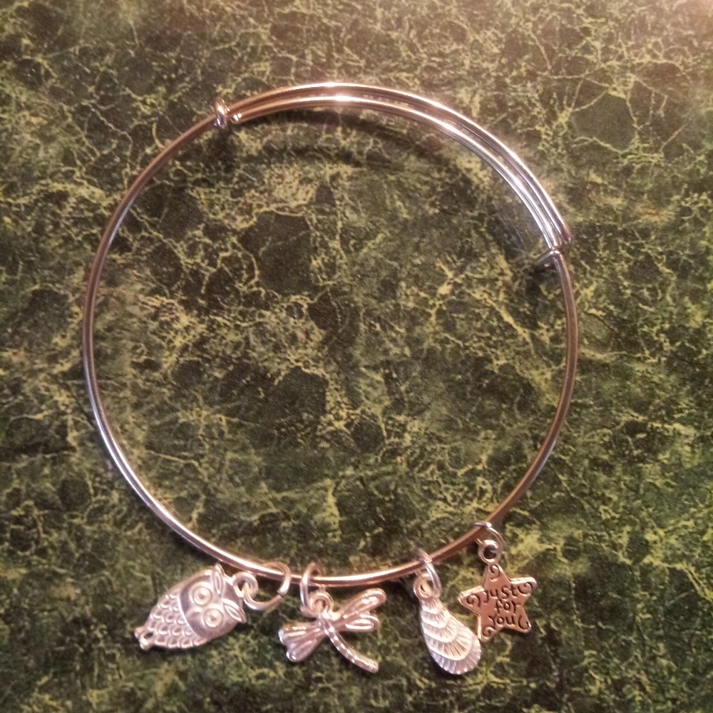 Charm bangle braclet